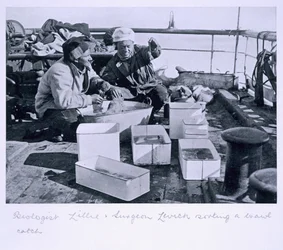Biologe Lillie und Chirurg Levick sortieren einen Schleppnetzfang an Bord der 